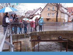 Die Steinach gibt Energie für die Mühle