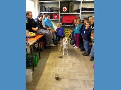 Der Rettungshund muss eine Probe finden