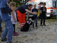 DRK Rettungshundestaffel